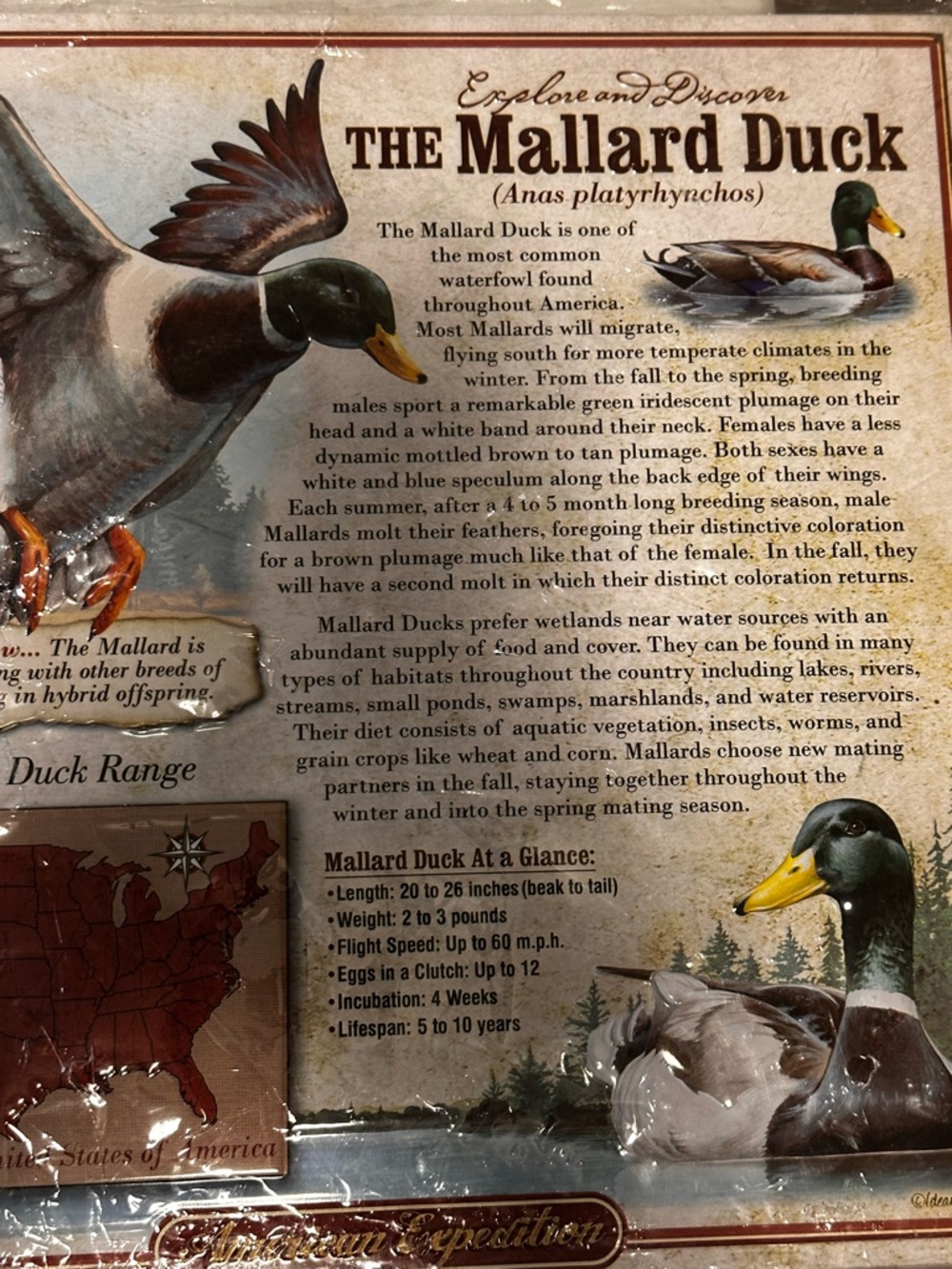 American Expedition Mallard Duck tin wildlife wall, sign, rustic cabin decor